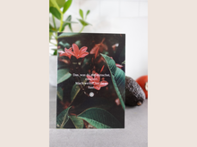 Lade das Bild in den Galerie-Viewer, Postkarten Set
